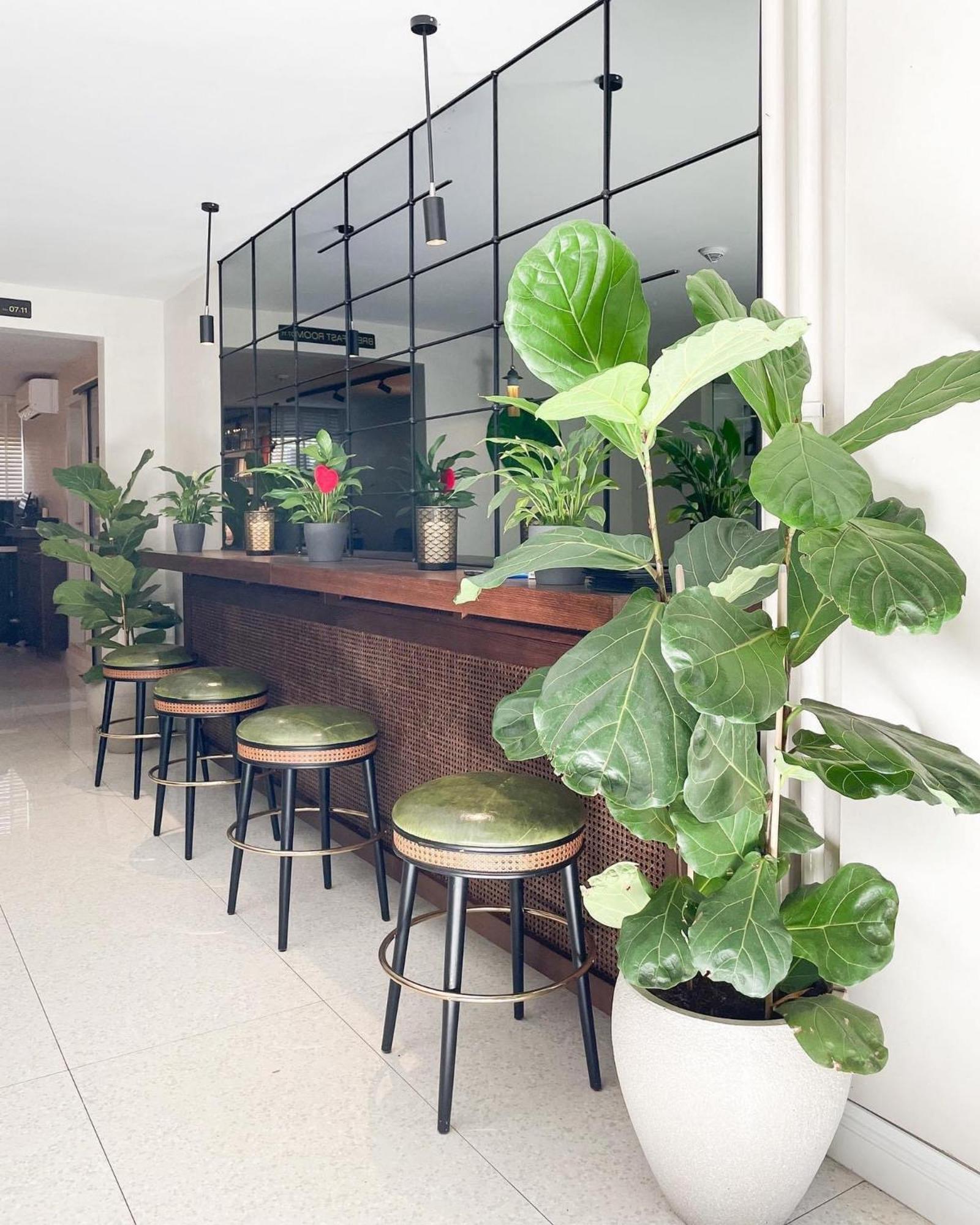 Hotel Botanica Belgrade Exterior photo